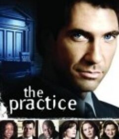 律师本色 第一季 The Practice Season 1            (1997)