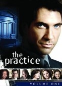律师本色 第一季 The Practice Season 1            (1997)