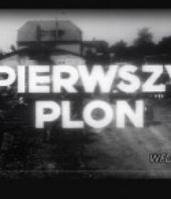 Pierwszy plon            (1950)