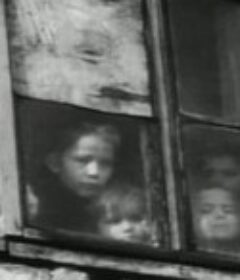 我的城市 Moje miasto            (1950)