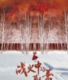 战火中的芭蕾            (2015)