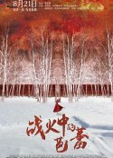 战火中的芭蕾            (2015)