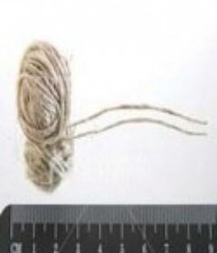 地平线系列：一根绳子有多长？ Horizon: How Long Is a Piece of String?            (2010)