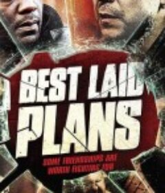 完美计划 Best Laid Plans            (2012)