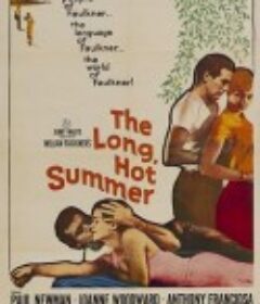 夏日春情 The Long, Hot Summer            (1958)