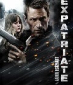 叛谍追击 The Expatriate            (2012)