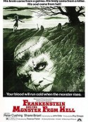 来自地狱的弗兰肯斯坦 Frankenstein and the Monster from Hell            (1974)