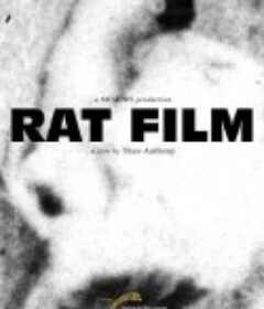 大鼠之影 Rat Film            (2016)