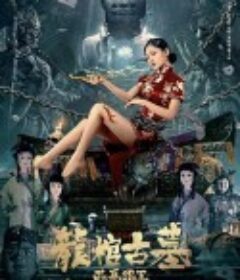 龙棺古墓：西夏狼王            (2021)