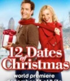 圣诞节的12次约会 12 Dates of Christmas            (2011)