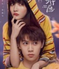 喵，请许愿            (2021)