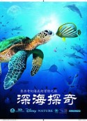 深海探奇 OceanWorld 3D            (2009)