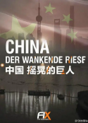 中国：摇晃的巨人 China - Der wankende Riese (2015)