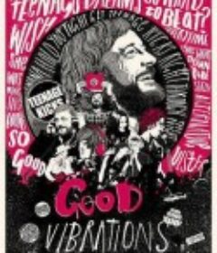 美妙共振 Good Vibrations            (2012)