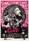 美妙共振 Good Vibrations            (2012)