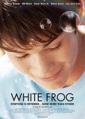 白色蛙 White Frog            (2012)