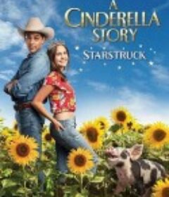 灰姑娘的故事：明星之恋 A Cinderella Story: Starstruck            (2021)
