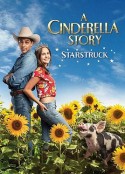 灰姑娘的故事：明星之恋 A Cinderella Story: Starstruck            (2021)