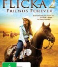 真我无缰2 Flicka 2            (2010)