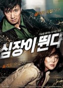 心跳 심장이 뛴다            (2010)