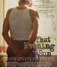 黑夜艳阳 That Evening Sun            (2009)