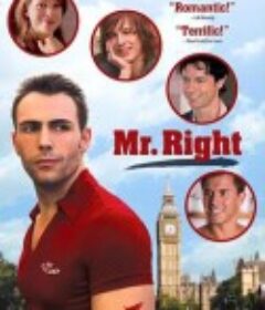 只爱意中人 Mr. Right            (2009)