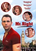 只爱意中人 Mr. Right            (2009)