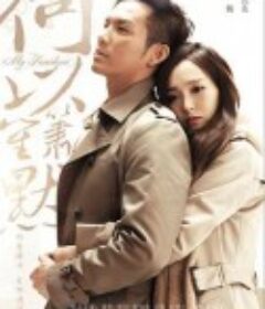 何以笙箫默            (2015)