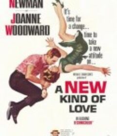 新恋爱经 A New Kind of Love            (1963)