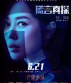 谎言真探            (2021)