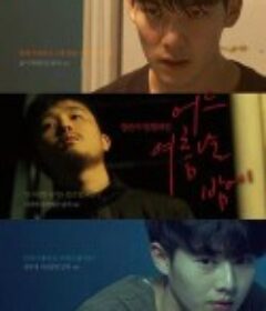 一个夏夜 어느 여름날 밤에            (2017)