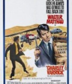 大盗查理 Charley Varrick            (1973)