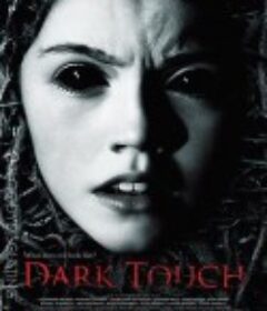 黑暗中的触摸 Dark Touch            (2013)