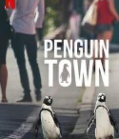 企鹅小镇 Penguin Town            (2021)