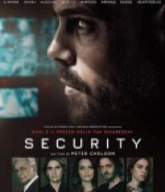 危安警戒 Security            (2020)