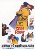狂澜春醒 Wild River            (1960)