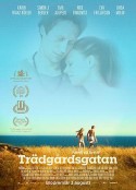 花园里 Trädgårdsgatan            (2017)