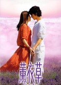 薰衣草            (2000)