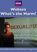 网络色情之害 Websex: What's the Harm?            (2012)