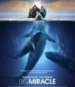 鲸奇 Big Miracle            (2012)