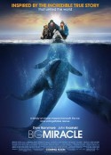 鲸奇 Big Miracle            (2012)