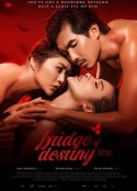 乱恋：欲望之桥 Bridge of Destiny            (2020)