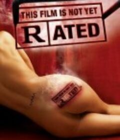 影片未分级 This Film Is Not Yet Rated            (2006)