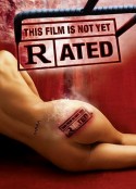 影片未分级 This Film Is Not Yet Rated            (2006)