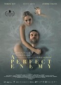 完美敌人 A Perfect Enemy            (2020)