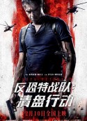反恐特战队：清盘行动 Решение о ликвидации            (2018)
