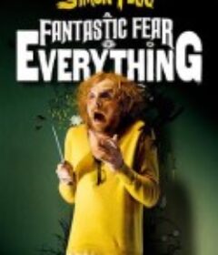 奇异恐惧 A Fantastic Fear of Everything            (2012)