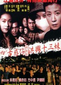 古惑仔情义篇之洪兴十三妹            (1998)