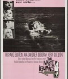 巫山风雨夜 The Night of the Iguana            (1964)