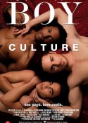 男国少年梦 Boy Culture            (2006)